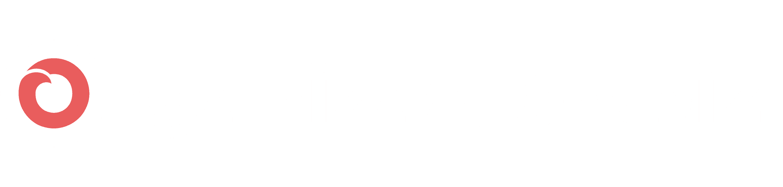 organizasyon.biz